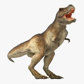 Tyrannosaurus Rex Rigged